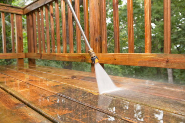 Best Roof Washing  in Ravenel, SC